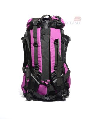 کوله پشتی کوهنوردی و طبیعت گردی Unisex نورث فیس Manaslu