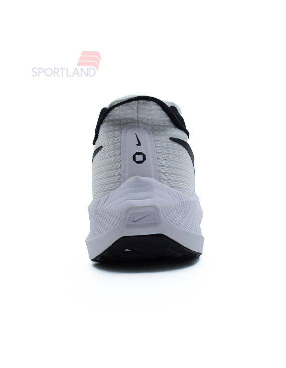 کتونی دویدن مردانه نایک Nike Pegasus 39 FlyEase M