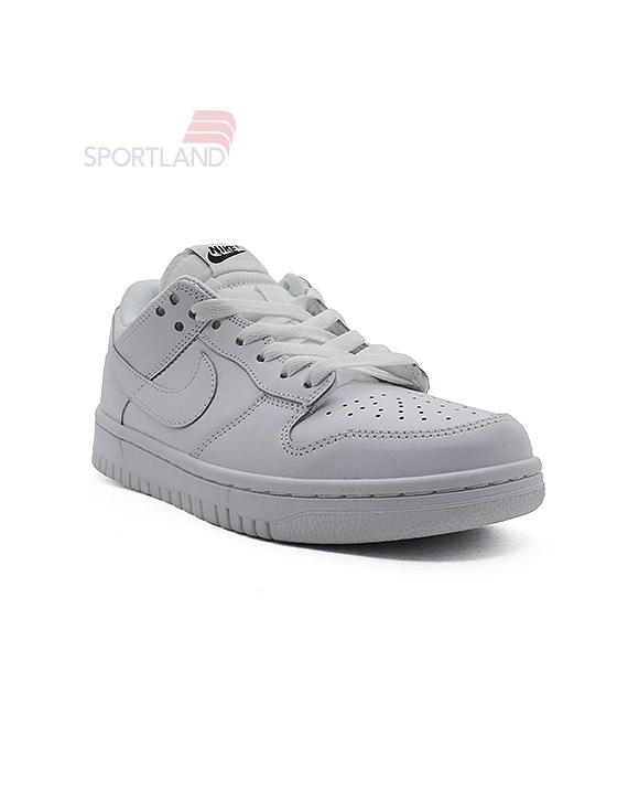 کتونی اسکیت برد زنانه نایک Nike SB Dunk W
