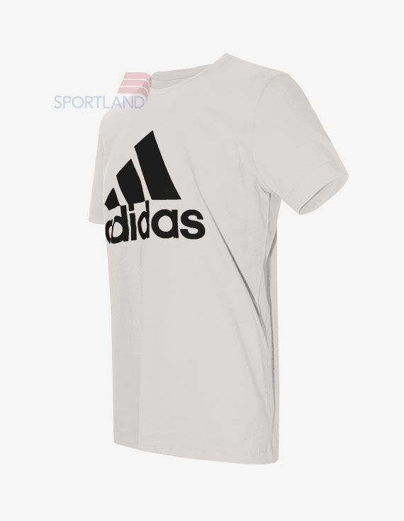 تی شرت ورزشی مردانه آدیداس Adidas Carlow M