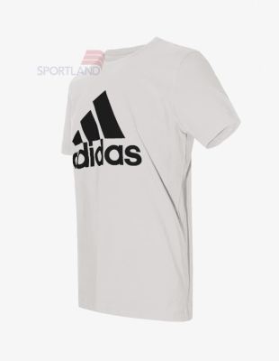 تی شرت ورزشی مردانه آدیداس Adidas Carlow M
