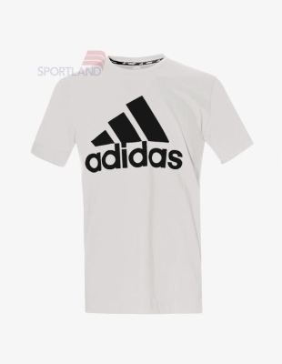 تی شرت ورزشی مردانه آدیداس Adidas Carlow M