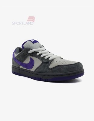 کتونی اسکیت برد زنانه نایک Nike SB Dunk W