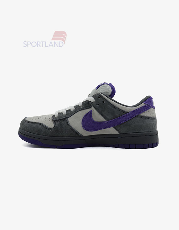 کتونی اسکیت برد زنانه نایک Nike SB Dunk W