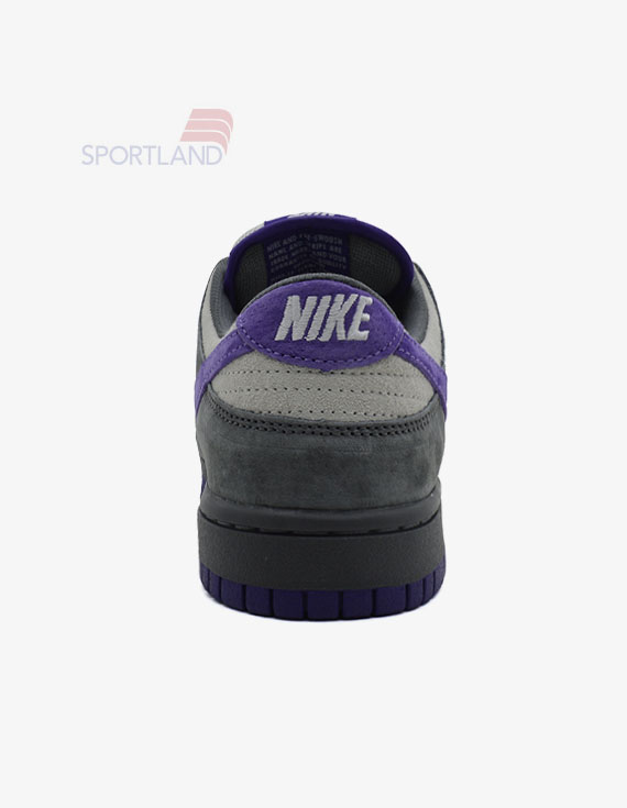 کتونی اسکیت برد زنانه نایک Nike SB Dunk W