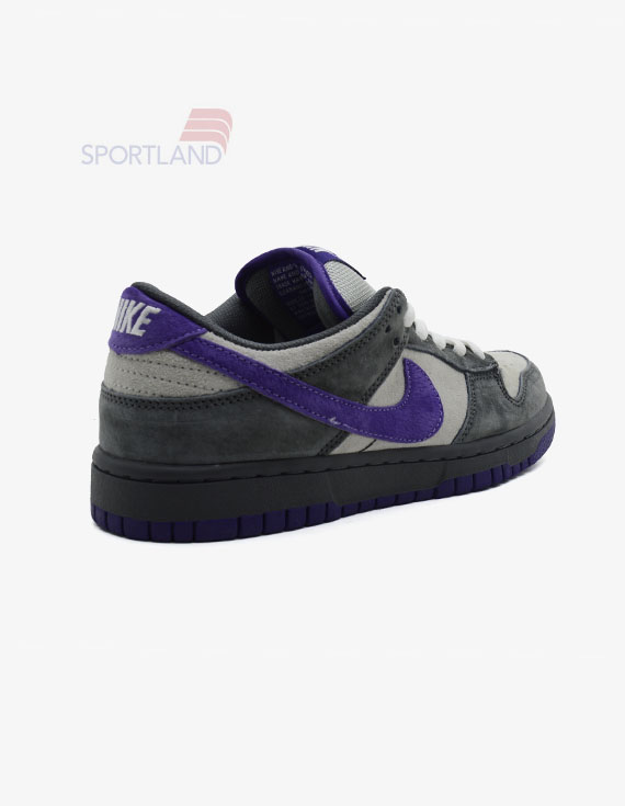 کتونی اسکیت برد زنانه نایک Nike SB Dunk W