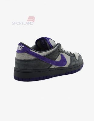 کتونی اسکیت برد زنانه نایک Nike SB Dunk W