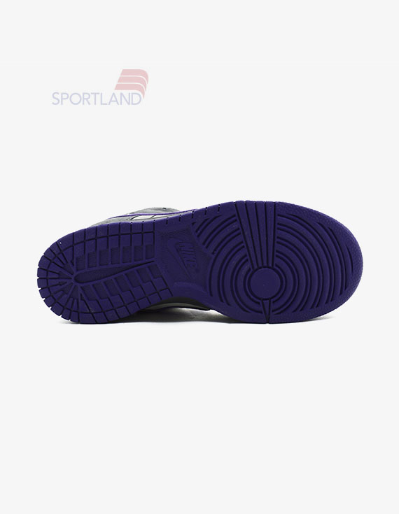 کتونی اسکیت برد زنانه نایک Nike SB Dunk W