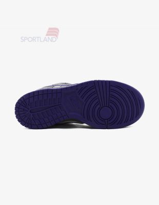 کتونی اسکیت برد زنانه نایک Nike SB Dunk W