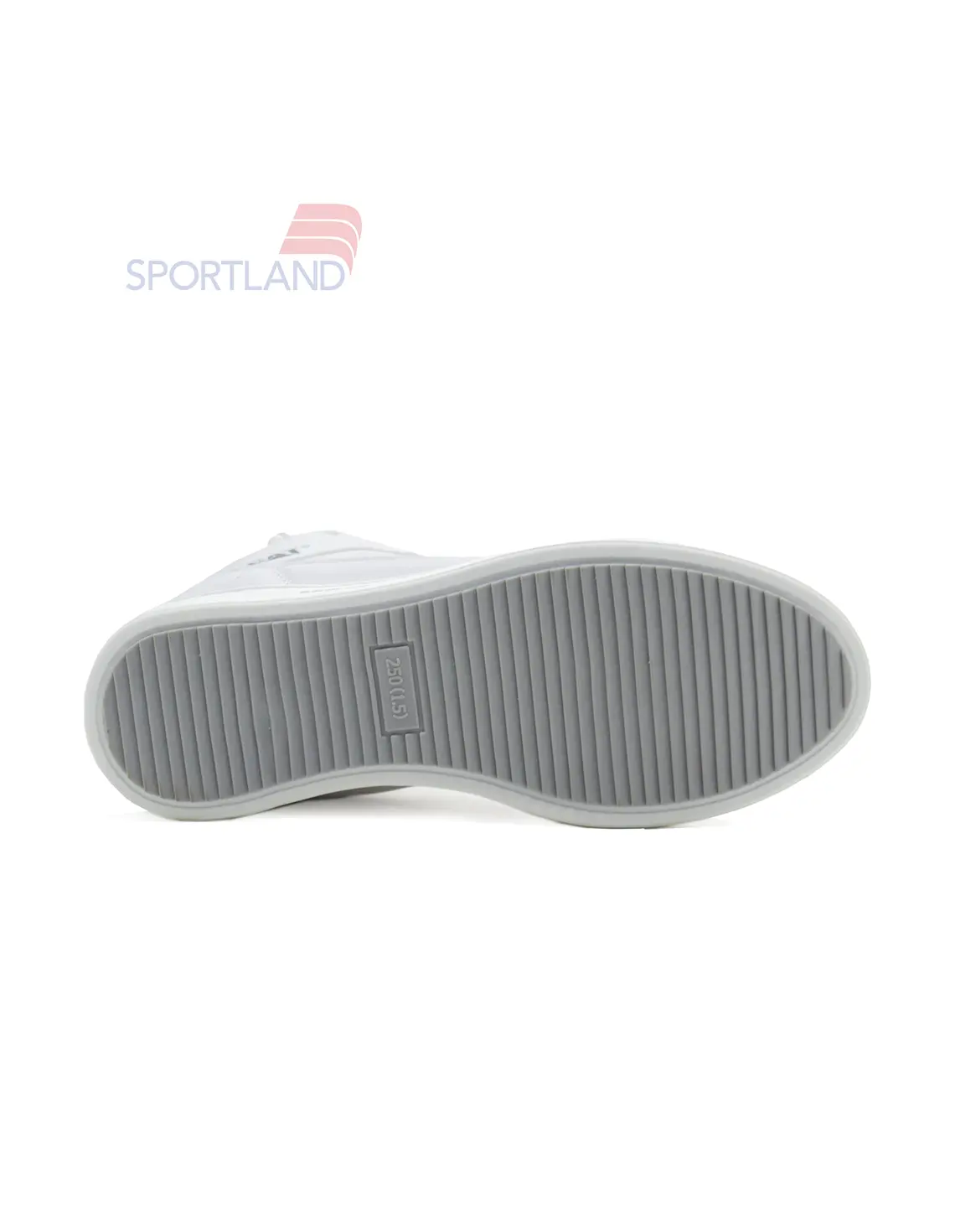 کتونی روزانه مردانه کاترپیلار Caterpillar Proxy Lace M