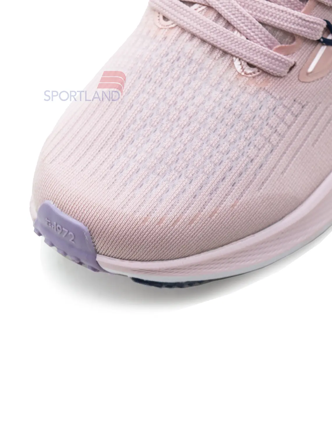کتونی دویدن زنانه نایک Nike Pegasus 39 FlyEase W