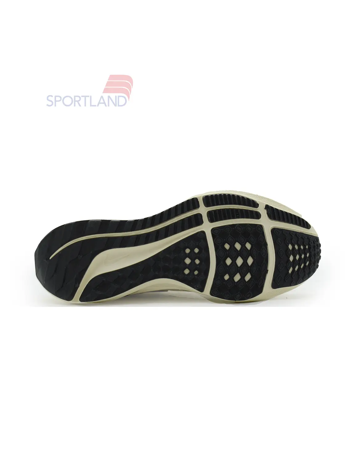 کتونی دویدن زنانه نایک Nike Pegasus 39 FlyEase W