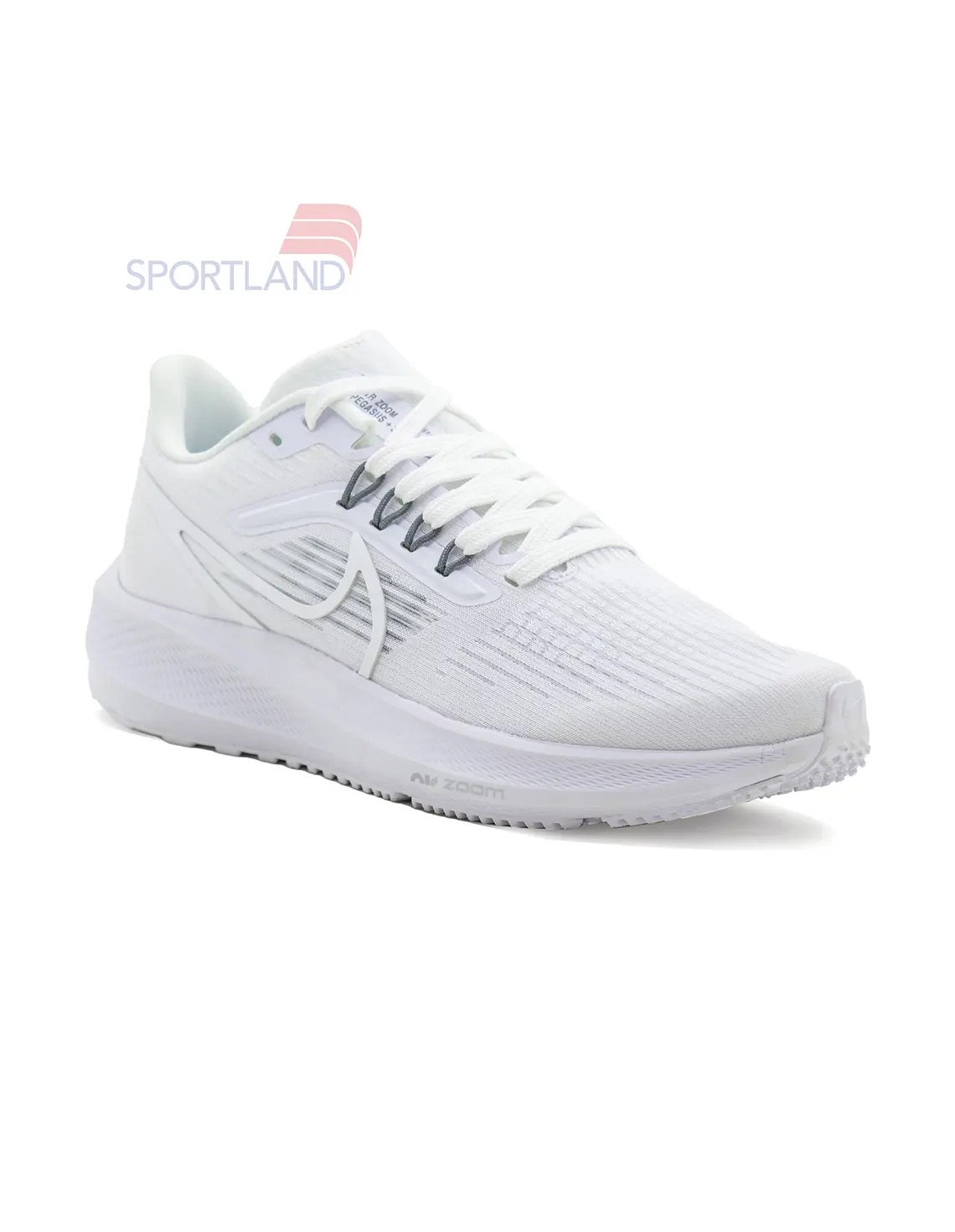 کتونی دویدن زنانه نایک Nike Pegasus 39 FlyEase W