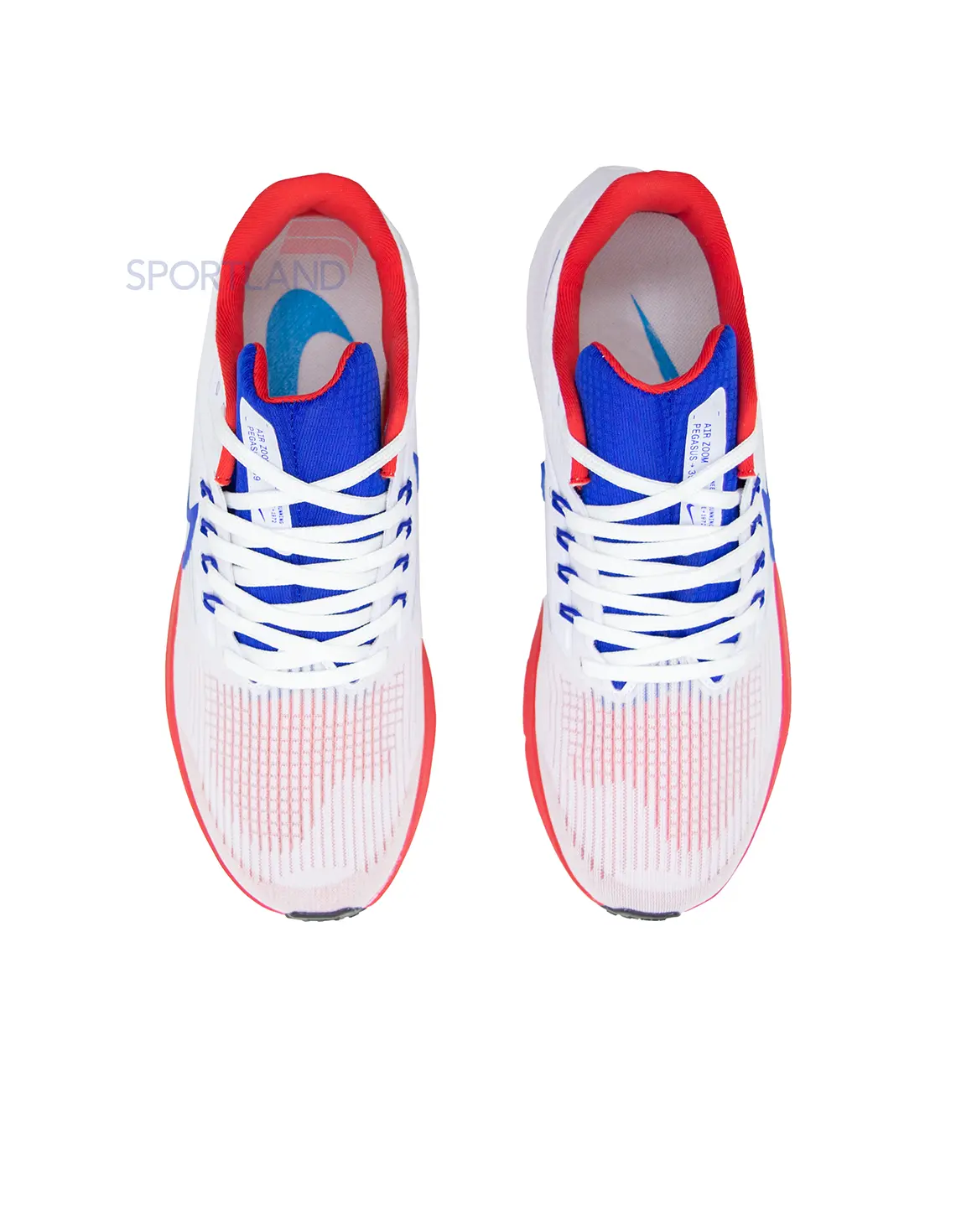 کتونی دویدن مردانه نایک Nike Pegasus 39 FlyEase M