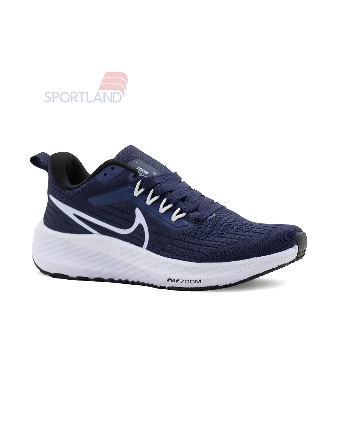 کتونی دویدن مردانه نایک Nike Pioneering Pegasus 39 M