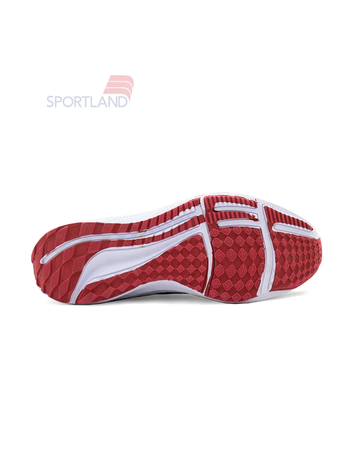 کتونی دویدن زنانه نایک Nike Pioneering Pegasus 39 W