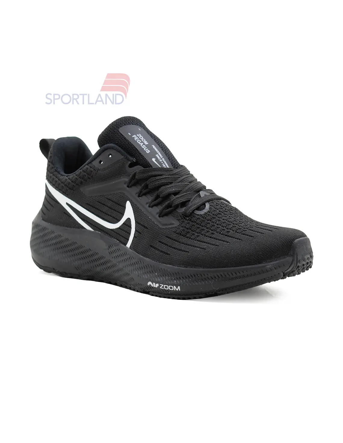 کتونی دویدن مردانه نایک Nike Pioneering Pegasus 39 M