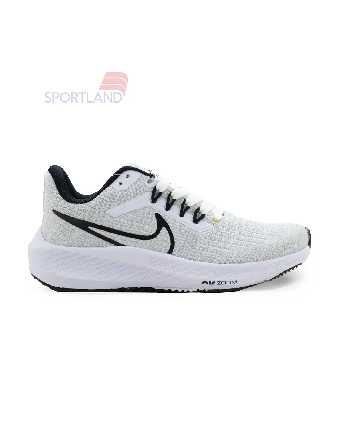 کتونی دویدن زنانه نایک Nike Pioneering Pegasus 39 W