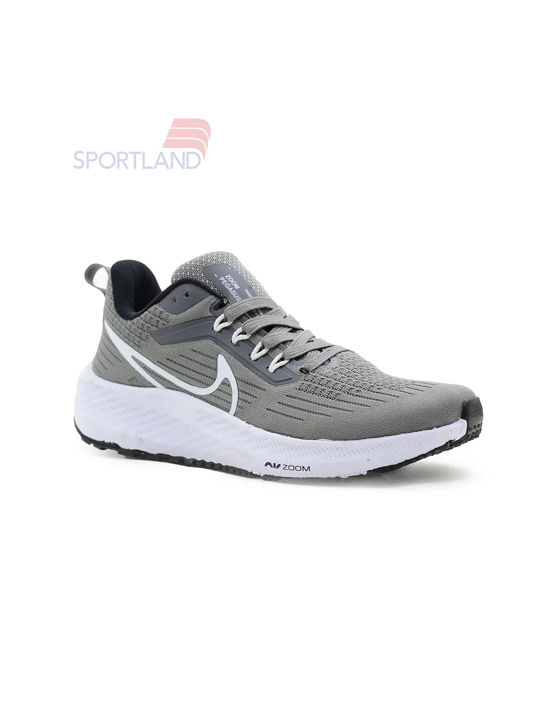 کتونی دویدن مردانه نایک Nike Pioneering Pegasus 39 M