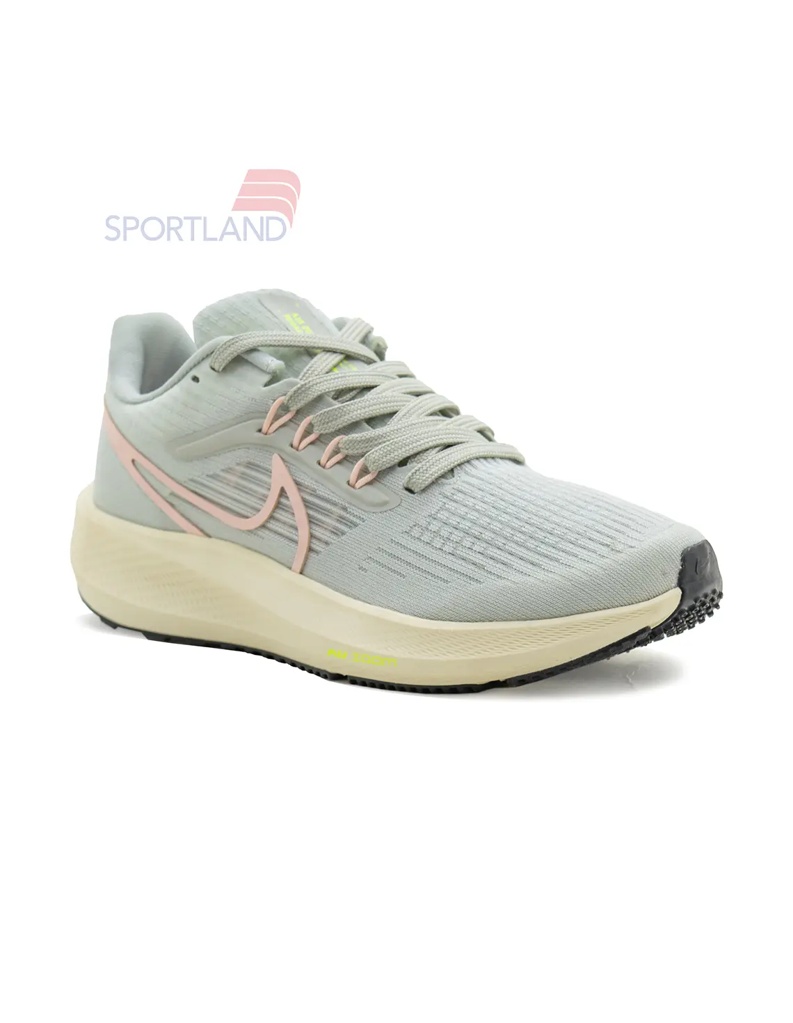 کتونی دویدن زنانه نایک Nike Pegasus 39 FlyEase W