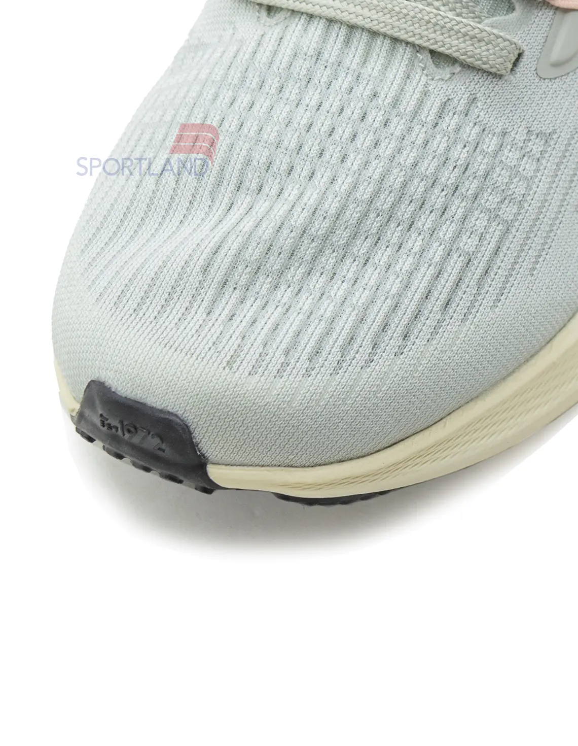 کتونی دویدن زنانه نایک Nike Pegasus 39 FlyEase W