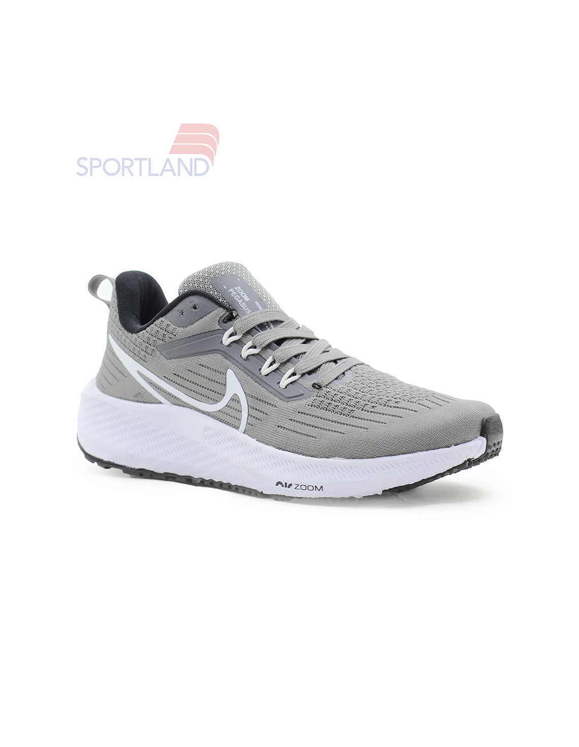 کتونی دویدن مردانه نایک Nike Pioneering Pegasus 39 M