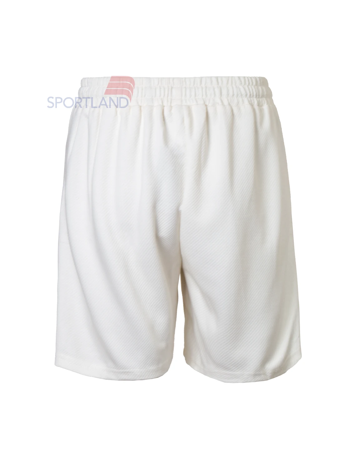 شلوارک ورزشی مردانه نایک Nike Aras M