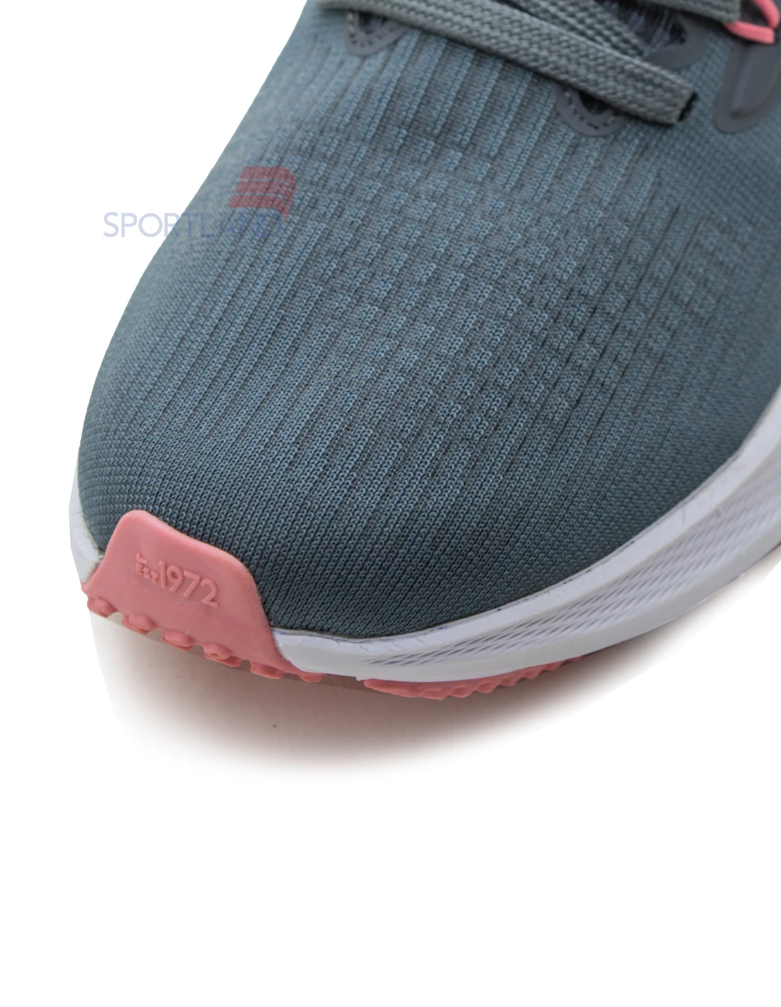 کتونی دویدن زنانه نایک Nike Pegasus 39 FlyEase W