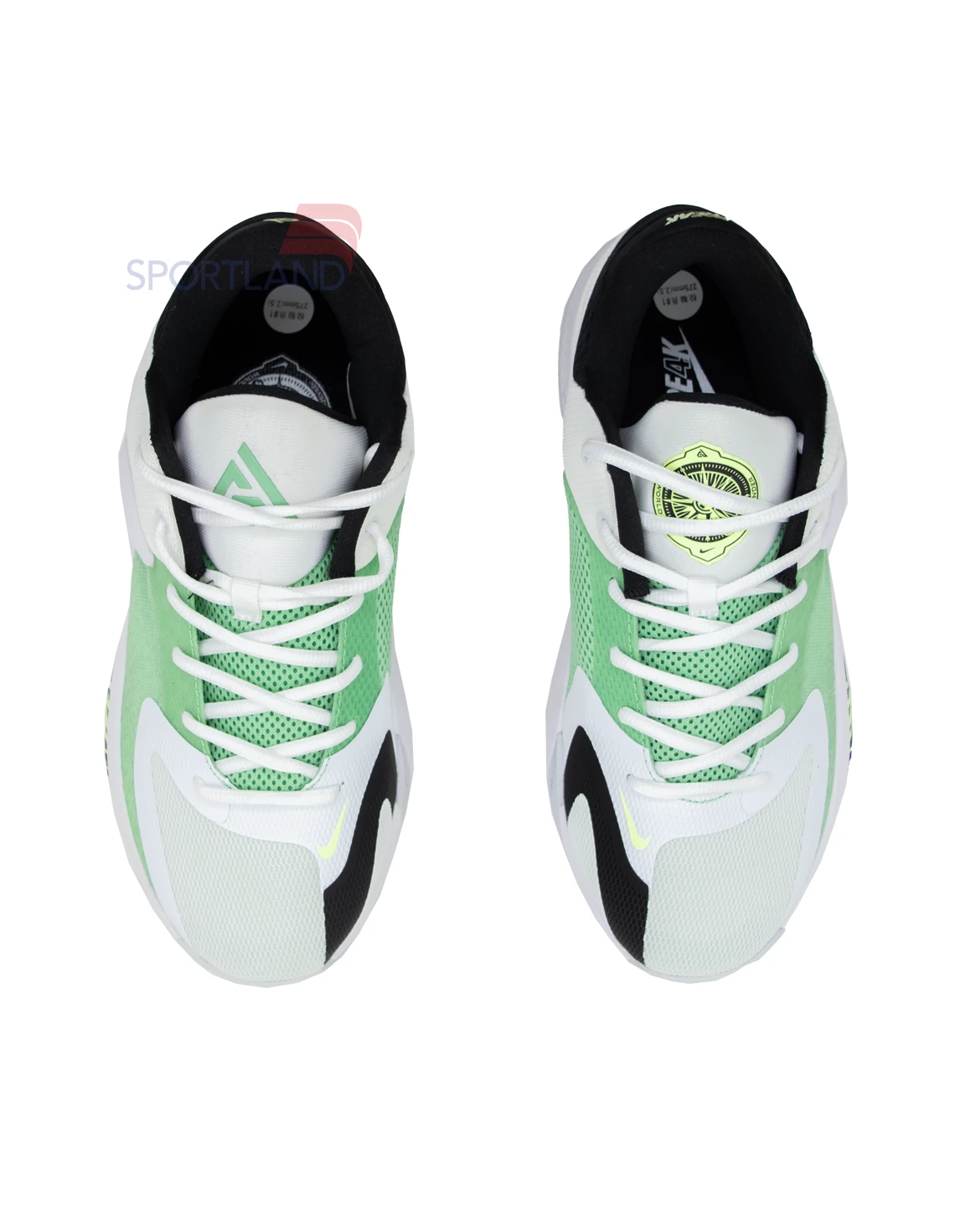کتونی بسکتبال مردانه نایک Nike Freak 4 Greek Coastline M