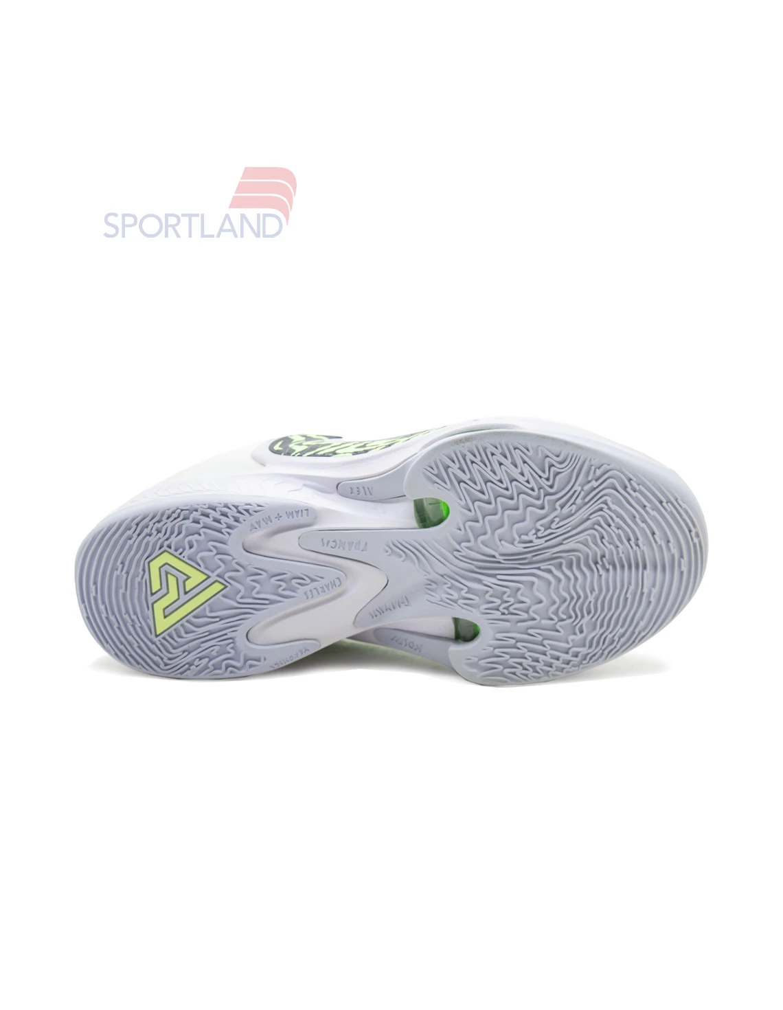 کتونی بسکتبال مردانه نایک Nike Freak 4 Greek Coastline M