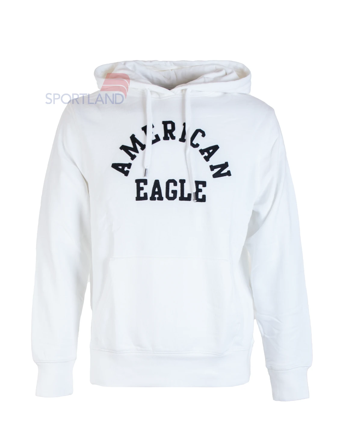 هودی اسپرت Unisex امریکن ایگل American Eagle Bentley U