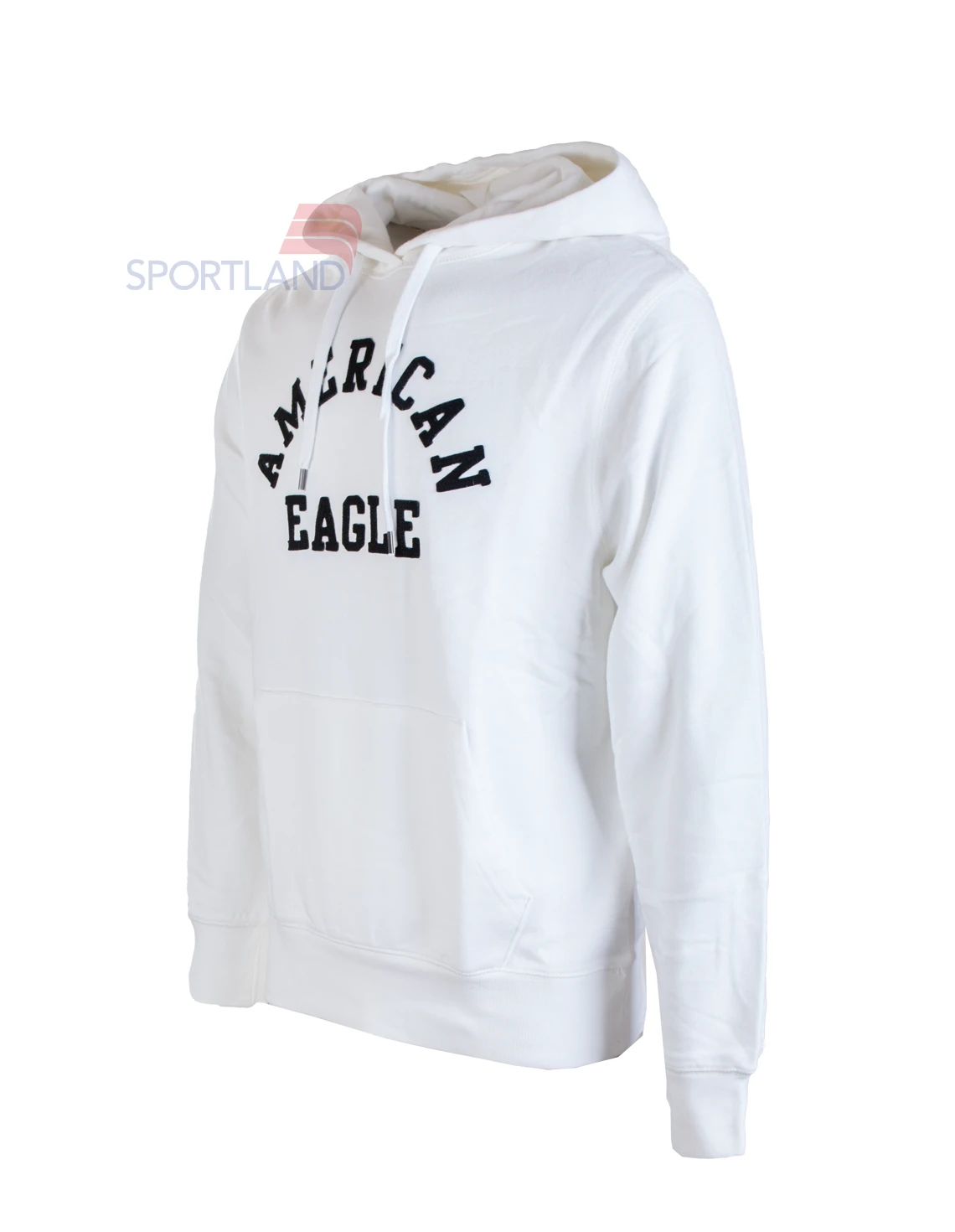 هودی اسپرت Unisex امریکن ایگل American Eagle Bentley U