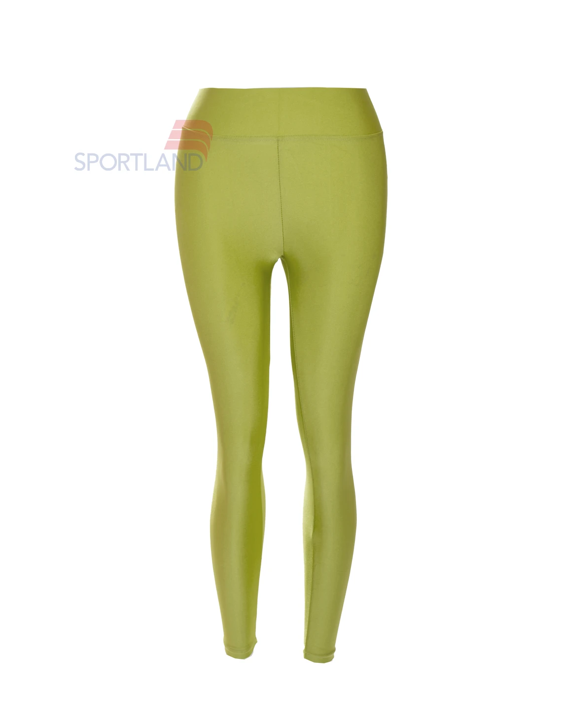 لگ ورزشی زنانه آگی Agi Shiny Lycra 24035 W