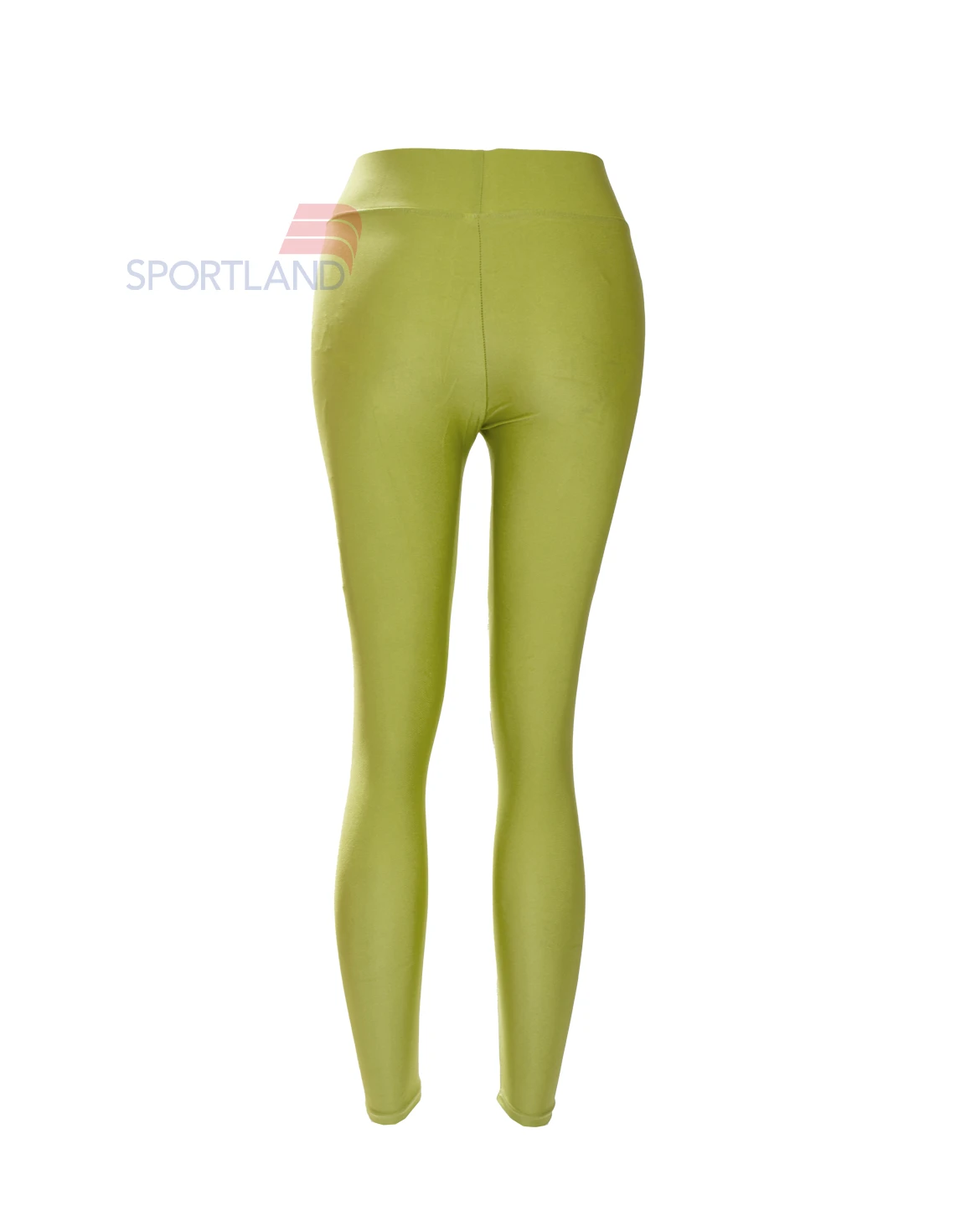 لگ ورزشی زنانه آگی Agi Shiny Lycra 24035 W