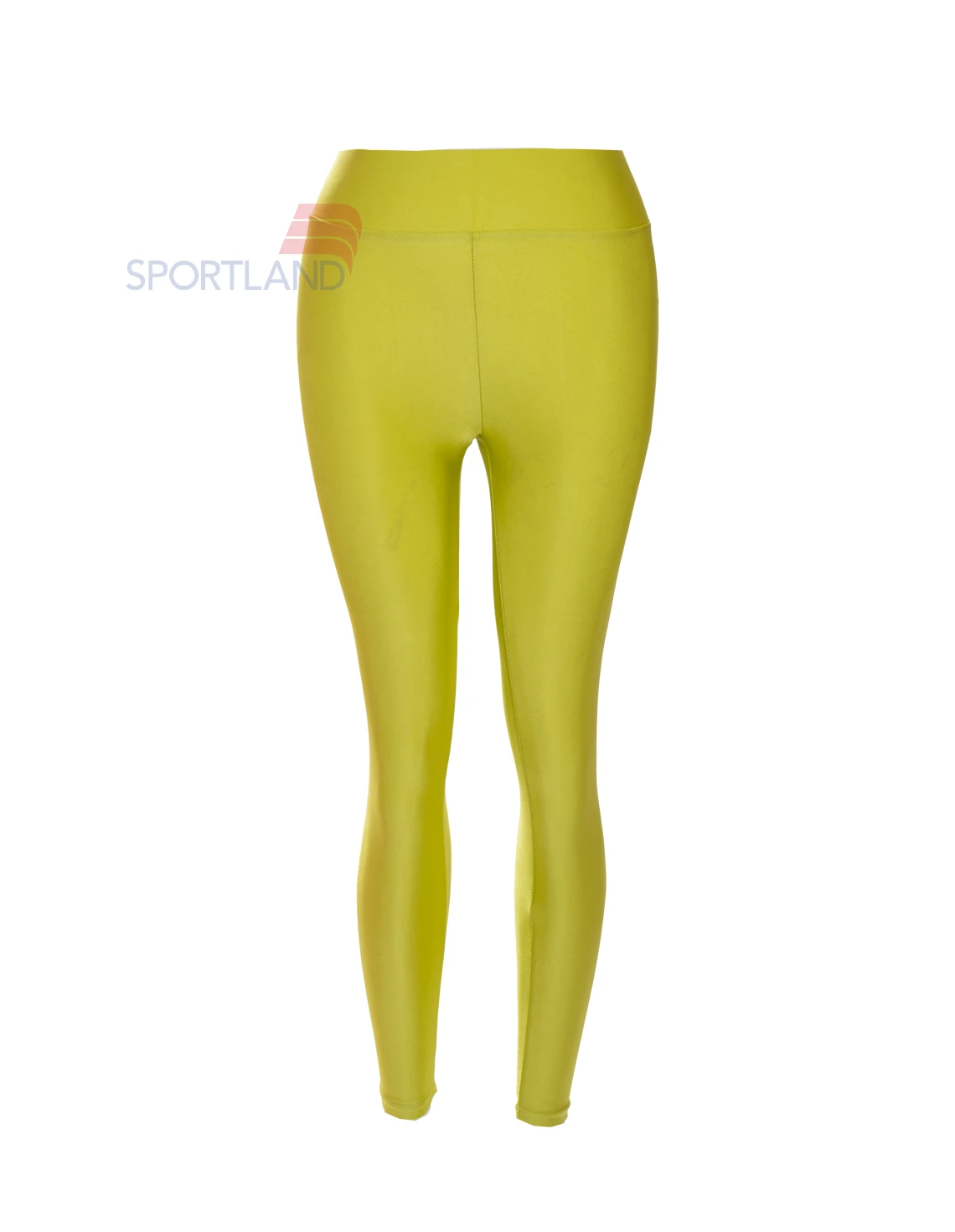 لگ ورزشی زنانه آگی Agi Shiny Lycra 24035 W