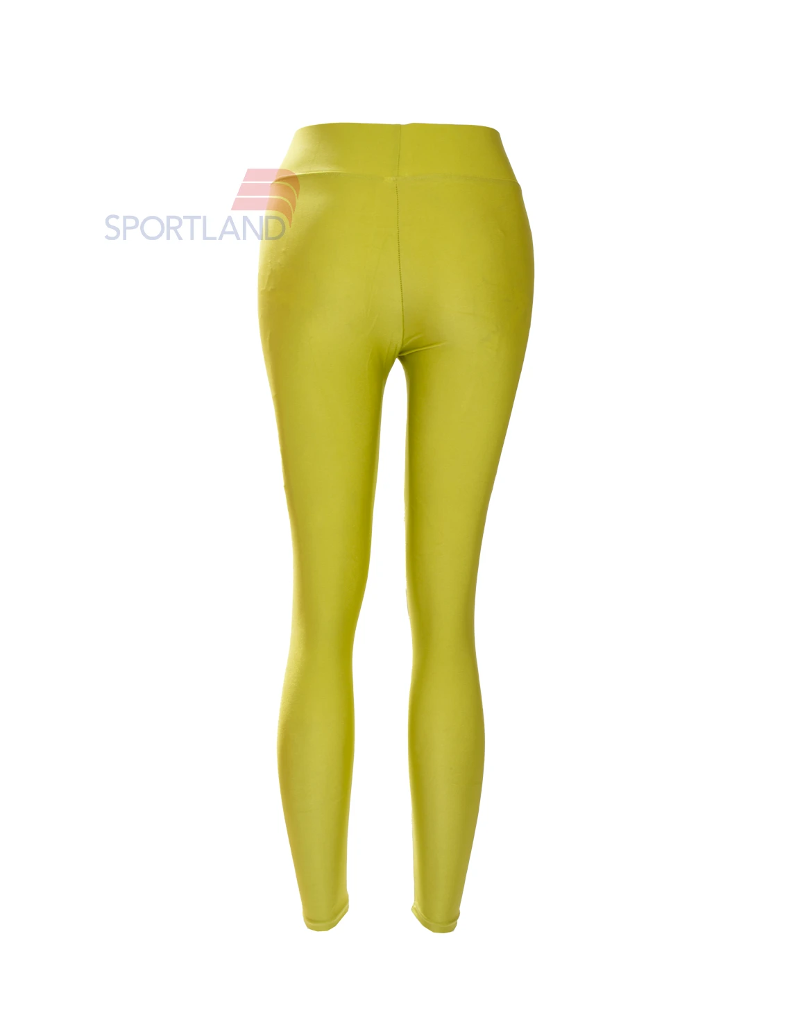 لگ ورزشی زنانه آگی Agi Shiny Lycra 24035 W