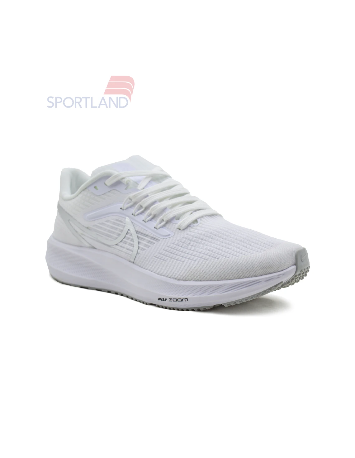 کتونی دویدن مردانه نایک Nike Pegasus 39 FlyEase M