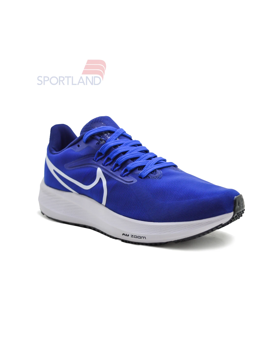 کتونی دویدن مردانه نایک Nike Pegasus 39 FlyEase M