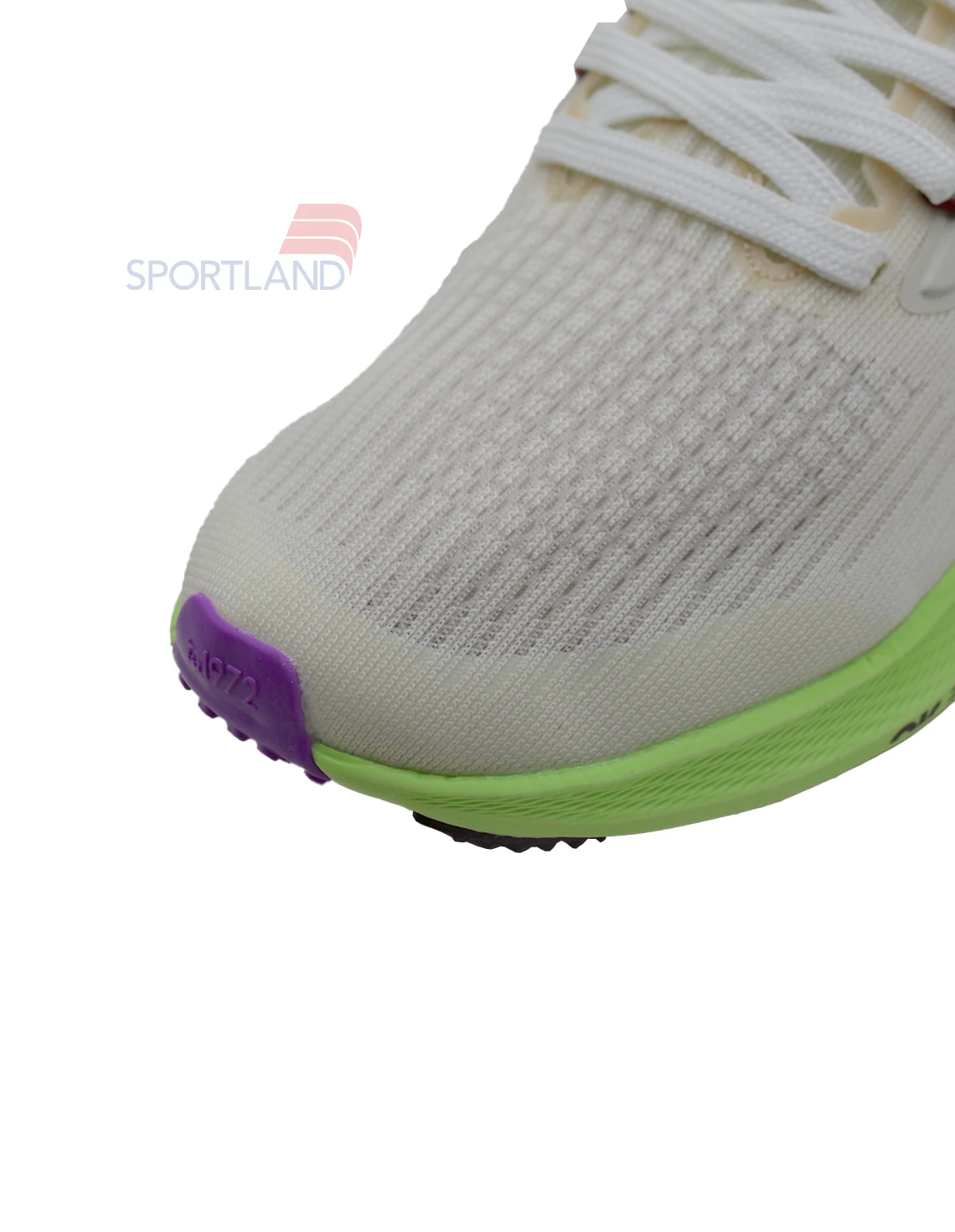 کتونی دویدن زنانه نایک Nike Pegasus 39 FlyEase W