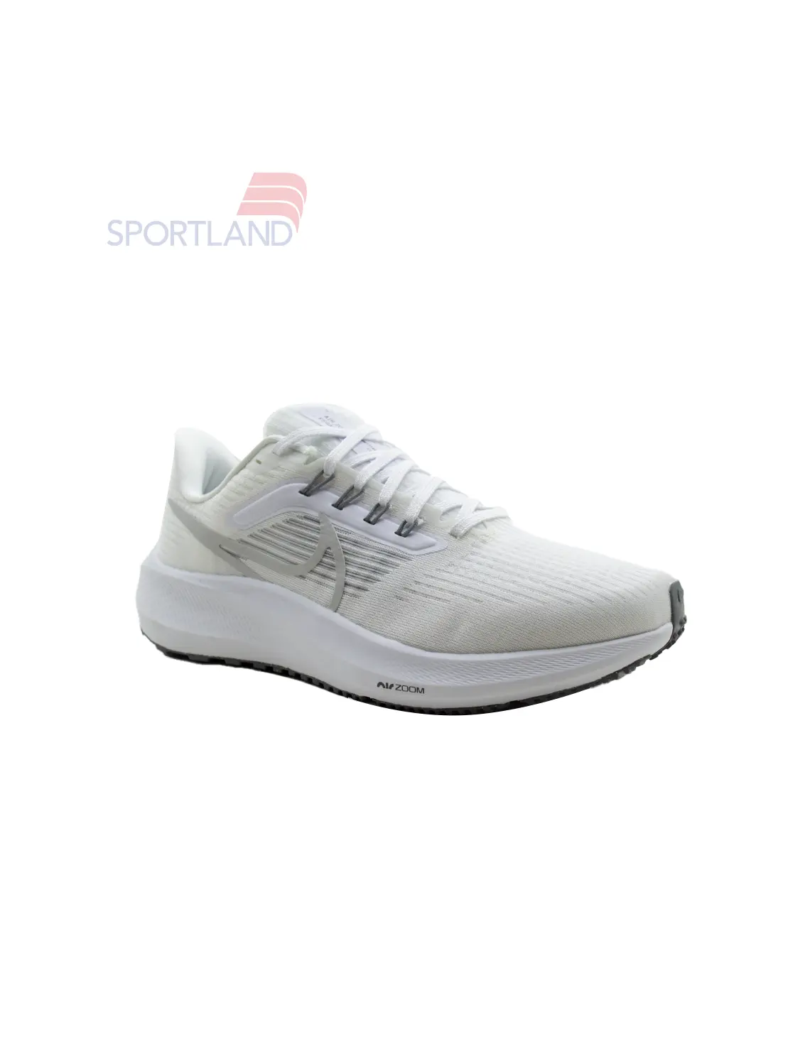 کتونی دویدن مردانه نایک Nike Pegasus 39 Flyease Premium M