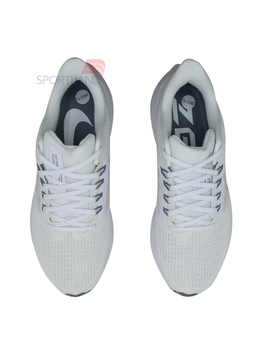 کتونی دویدن مردانه نایک Nike Pegasus 39 Flyease Premium M