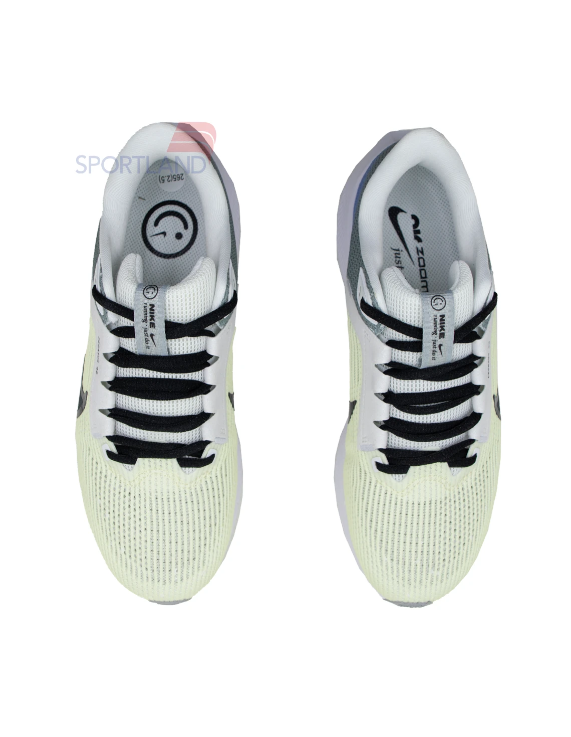 کتونی دویدن مردانه نایک Nike Air Zoom Pegasus 40 M